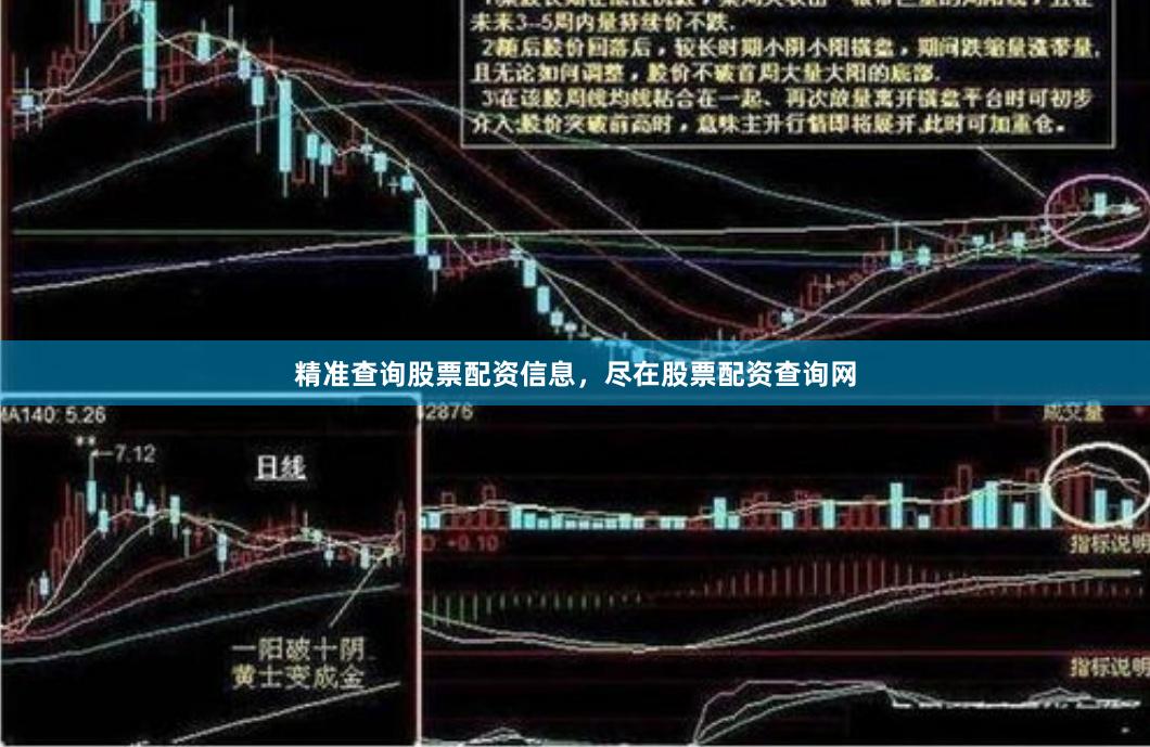 精准查询股票配资信息，尽在股票配资查询网