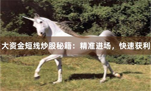 大资金短线炒股秘籍：精准进场，快速获利