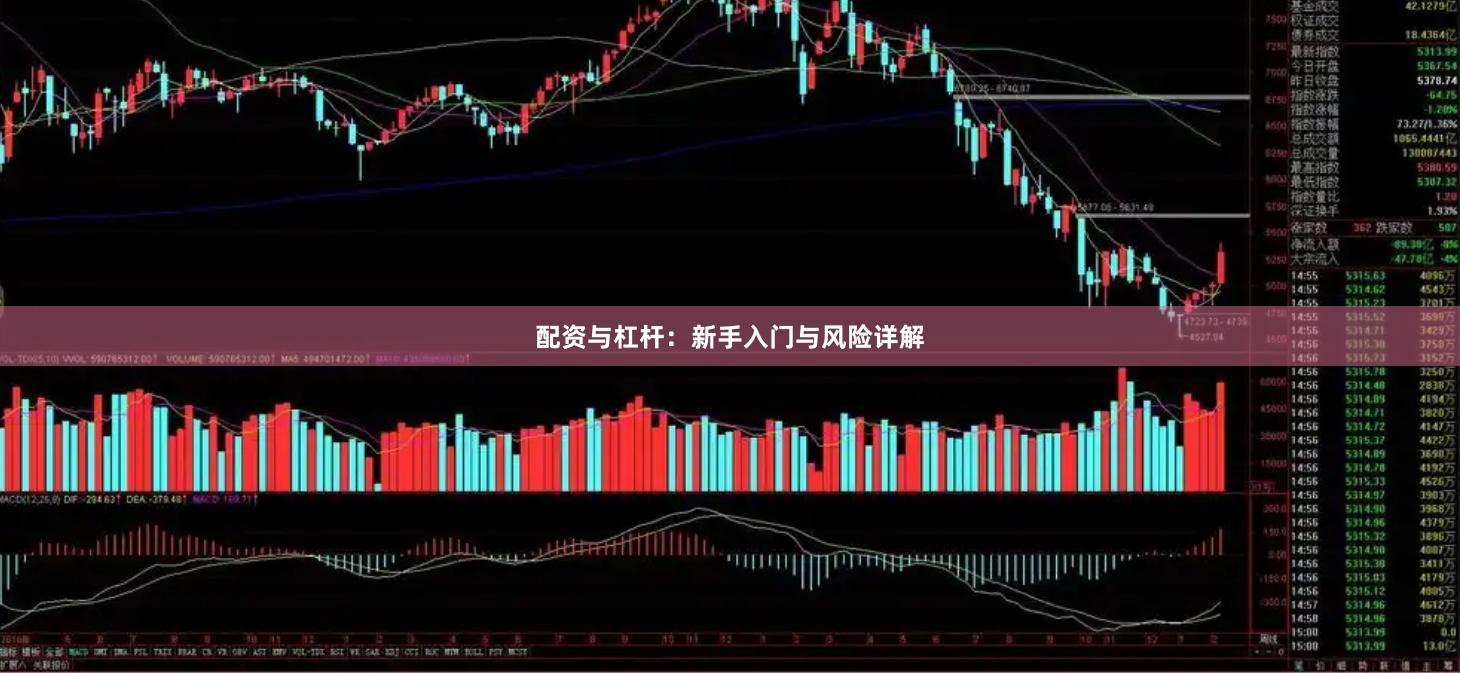配资与杠杆：新手入门与风险详解